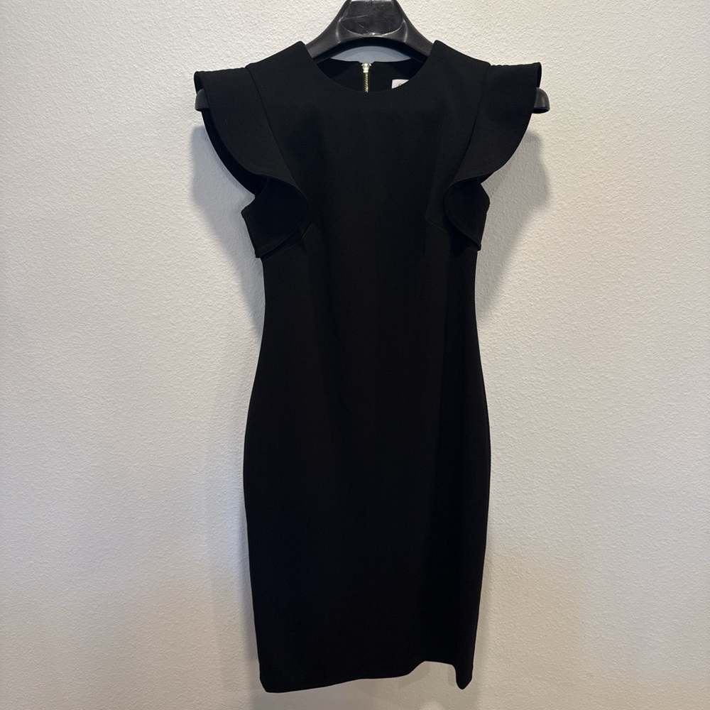 Elegant Black Ruffle Sleeve Dress
